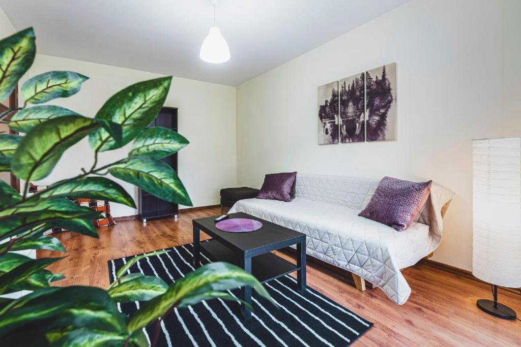 Apartament Niecala Queens Superior ルブリン エクステリア 写真