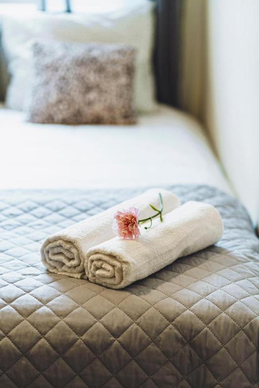 Apartament Niecala Queens Superior ルブリン エクステリア 写真