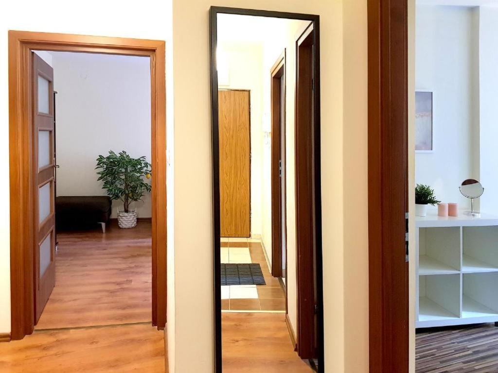 Apartament Niecala Queens Superior ルブリン エクステリア 写真